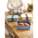 dovi lunchtrommel van gerecyclede plastic