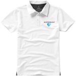 polo tedy