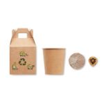 pijnboomzaden set. groeit 30 cm per jaar