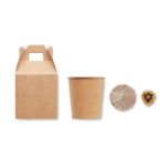 pijnboomzaden set. groeit 30 cm per jaar