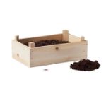 tomatenkweekset houten kratje