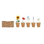 bloemen kweekset
