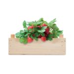 aardbeienpakket in houten krat