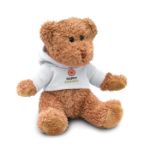 pluche teddybeer in een sweater met capuchon.