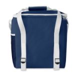 600d polyester koeltas met peva voering.