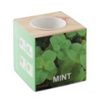 kweekset munt in houten pot.