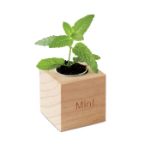 kweekset munt in houten pot.