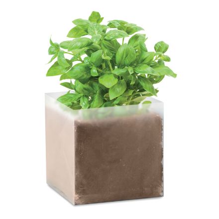 basilicum zaadjes