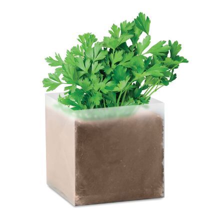 compost met peterselie zaadjes
