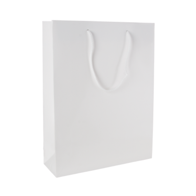 glans gelamineerde papieren tas wit 220x100x275 mm