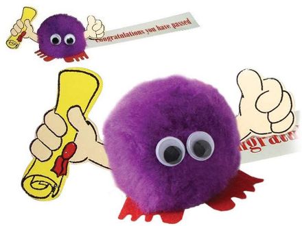 winnie diploma custom made