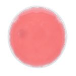 herbruikbare heatpack kison - fuchsia