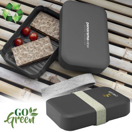 recycled pp lunch box