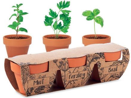 kruidenpotjes set van 3 kruiden mich