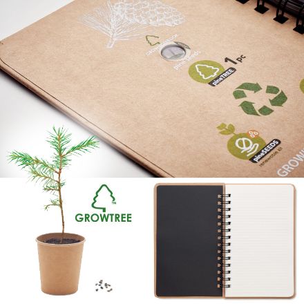 notitieboek pijnboomzaad