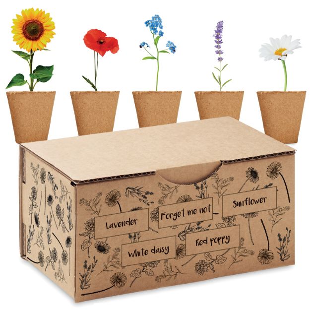 bloemen kweekset