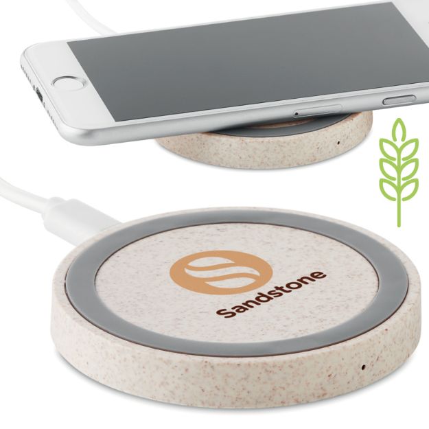 tarwestro/abs oplader plato