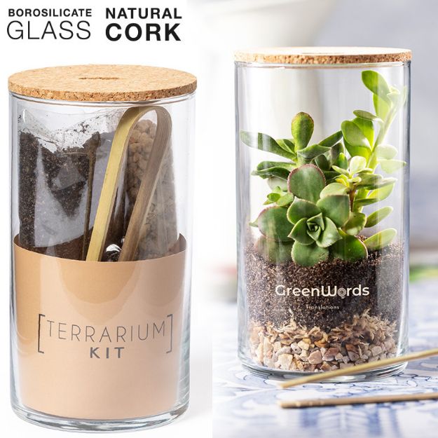 terrarium anymak