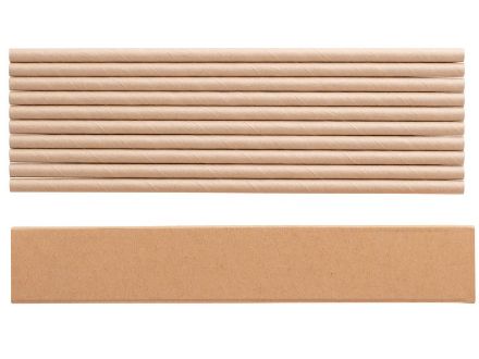 set van 10 kraftpapieren rietjes, voedselveilig