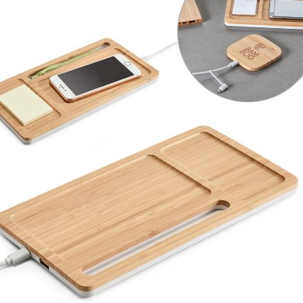 mott bureau-organizer