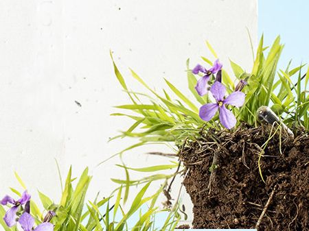 Afbeelding voor categorie groeipapier relatiegeschenken
