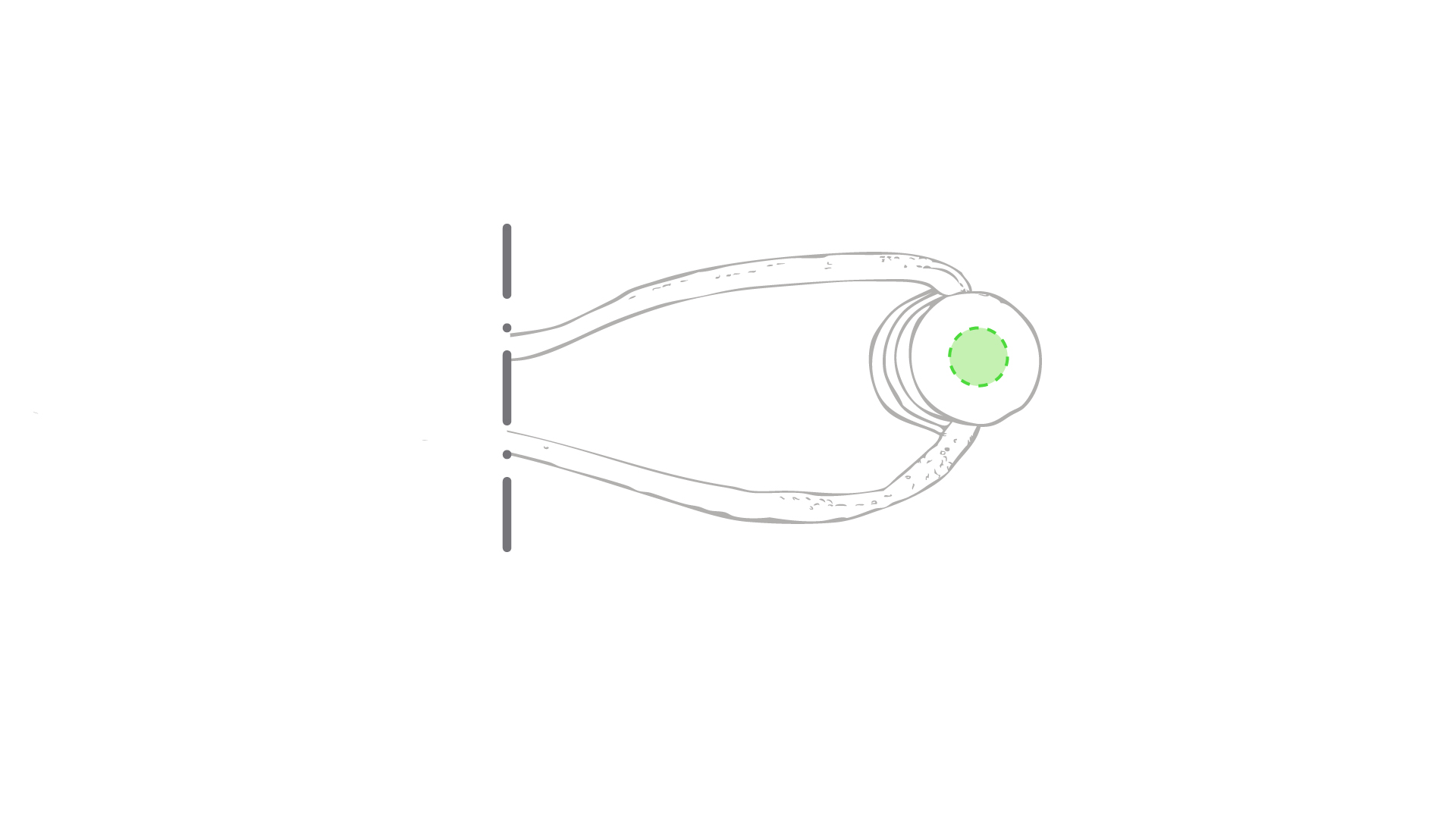 tampondruk/zeefdruk d (1 x 0,7 cm)