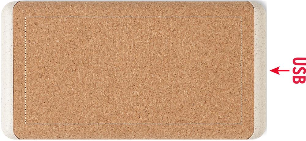 lasergravure (55 x 110 mm)