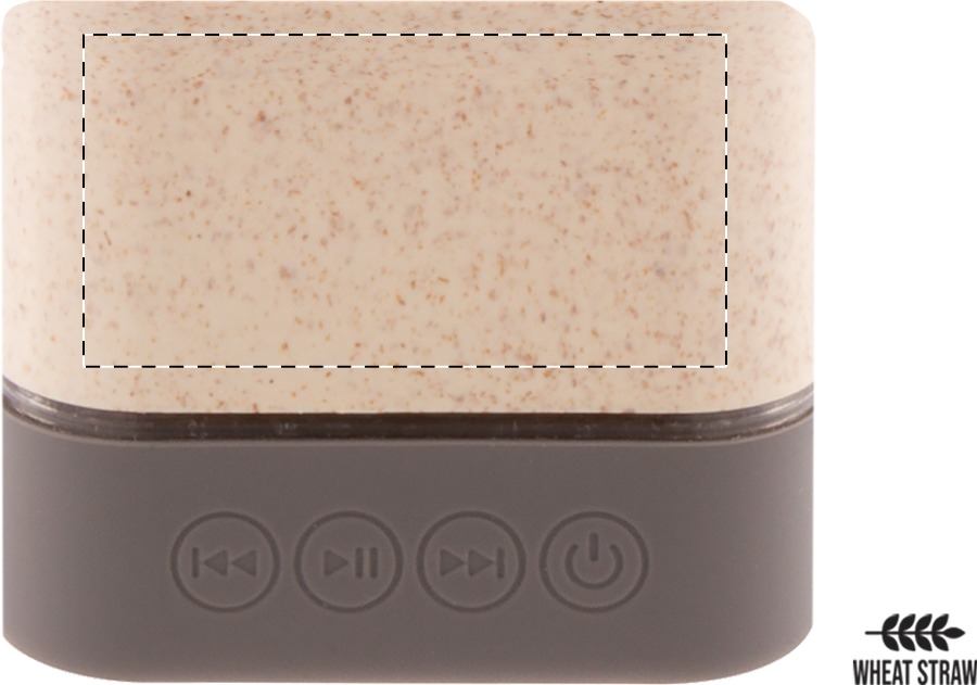 gravure (45 x 30 mm)