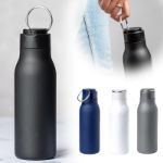 rvs bidon bucky 600 ml