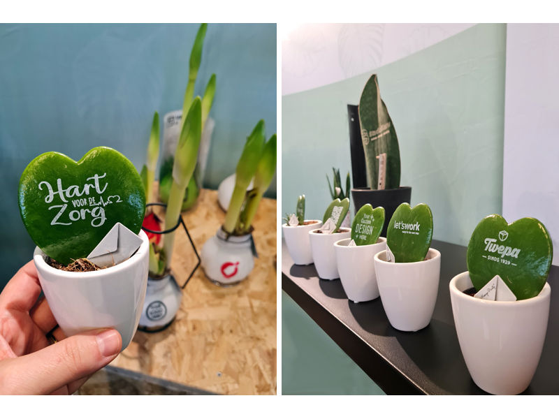 Bedrukte hartjesplant dat is geven en waarderen!