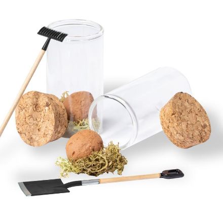 bonbon zaden winsu wilde bloemen