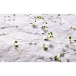 a5 zaadpapier wilde bloemen