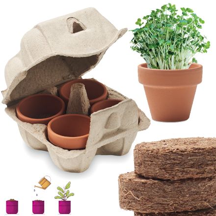 kweekset in eierdoos