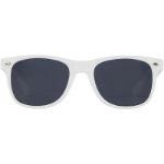 sun ray zonnebril van gerecycled plastic