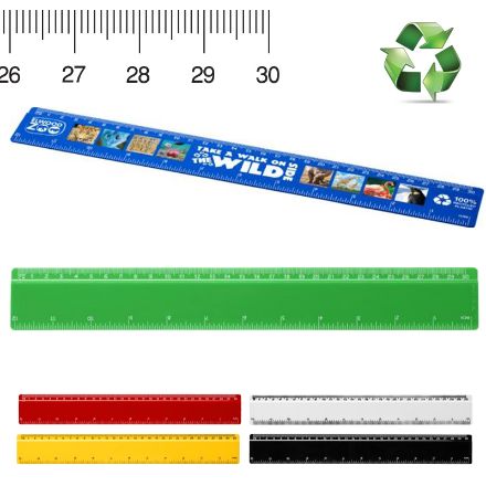 refari liniaal van 30 cm van gerecycled plastic