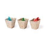 groententuin kit mendrax