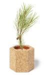 bloempot gulytel