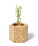 bloempot gulytel