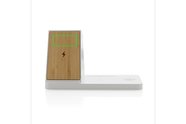 co2 gravering (55 x 25 mm)