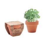 terracotta potje met tuinkerszaadjes