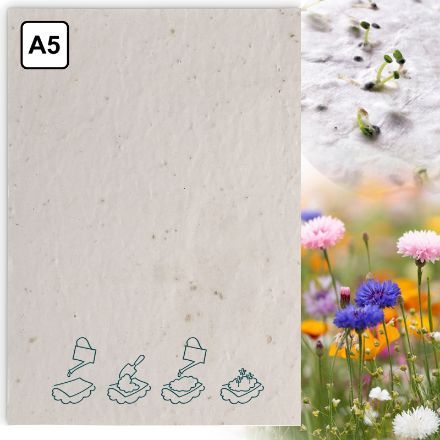 a5 zaadpapier wilde bloemen