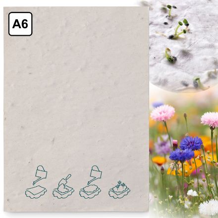 a6 zaadpapier wilde bloemen