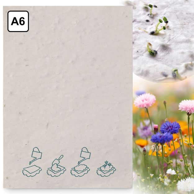 a6 zaadpapier wilde bloemen