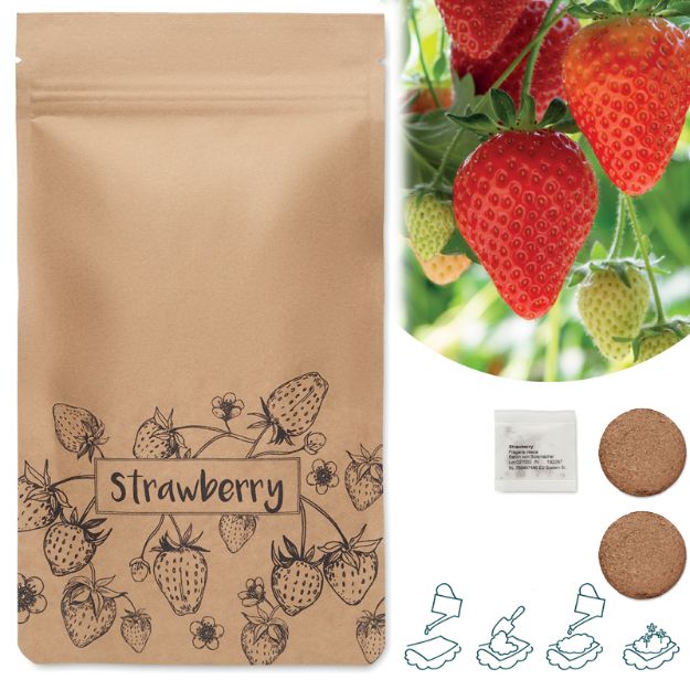 aardbeien kweekset