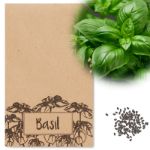 basilicumzaadjes in envelop