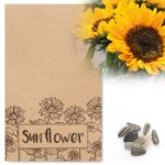 zonnebloemzaadjes in envelop