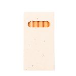 zaad petunia potlood set delar 6 stuks - 