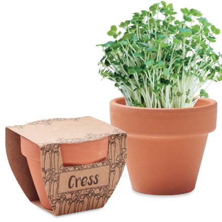 terracotta potje met tuinkerszaadjes