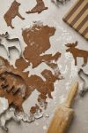 vinga nordic big 5 koekjessnijder 5-delig