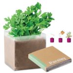 compost met peterselie zaadjes